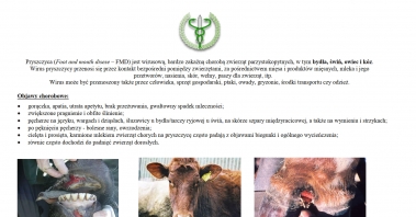 3ulotka pryszczyca (FMD)-7.jpg